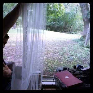 Allure bridal wedding vail